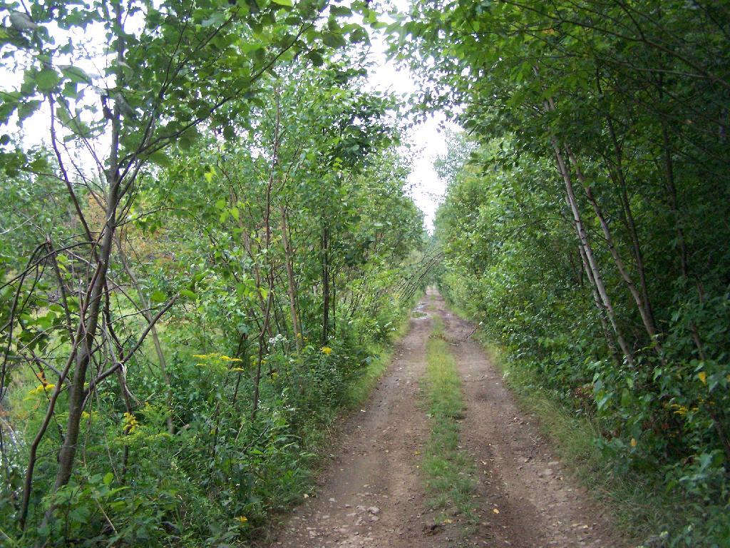 Truck Trail