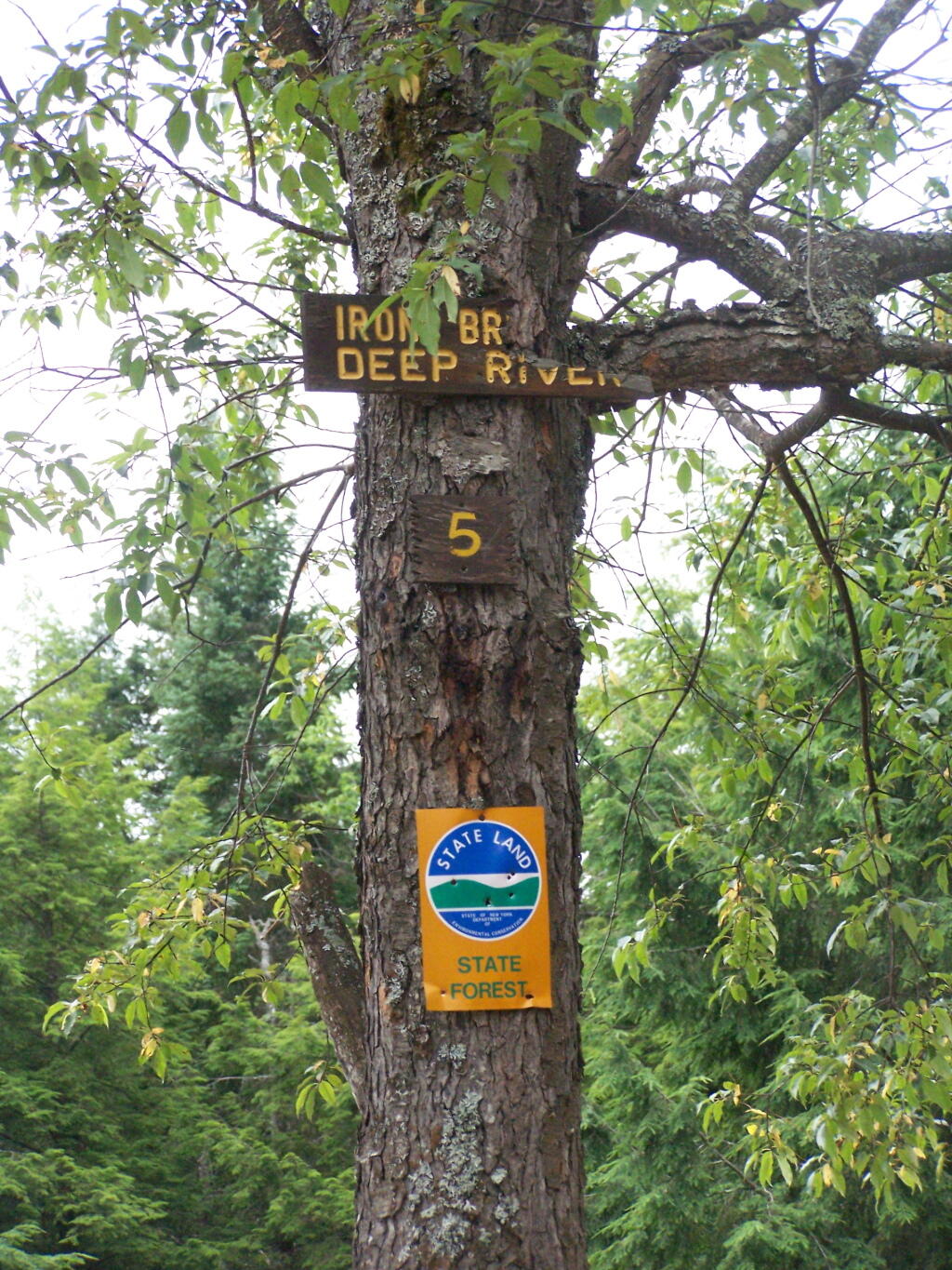 Site Name