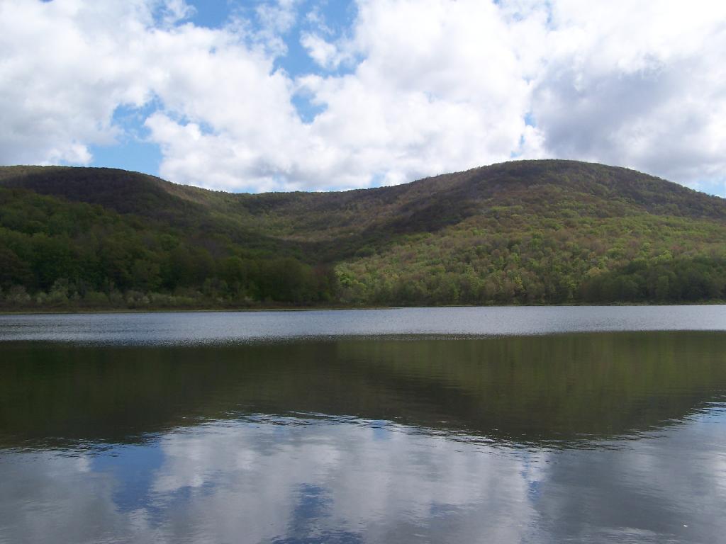 Mill Brook Range in the Morning