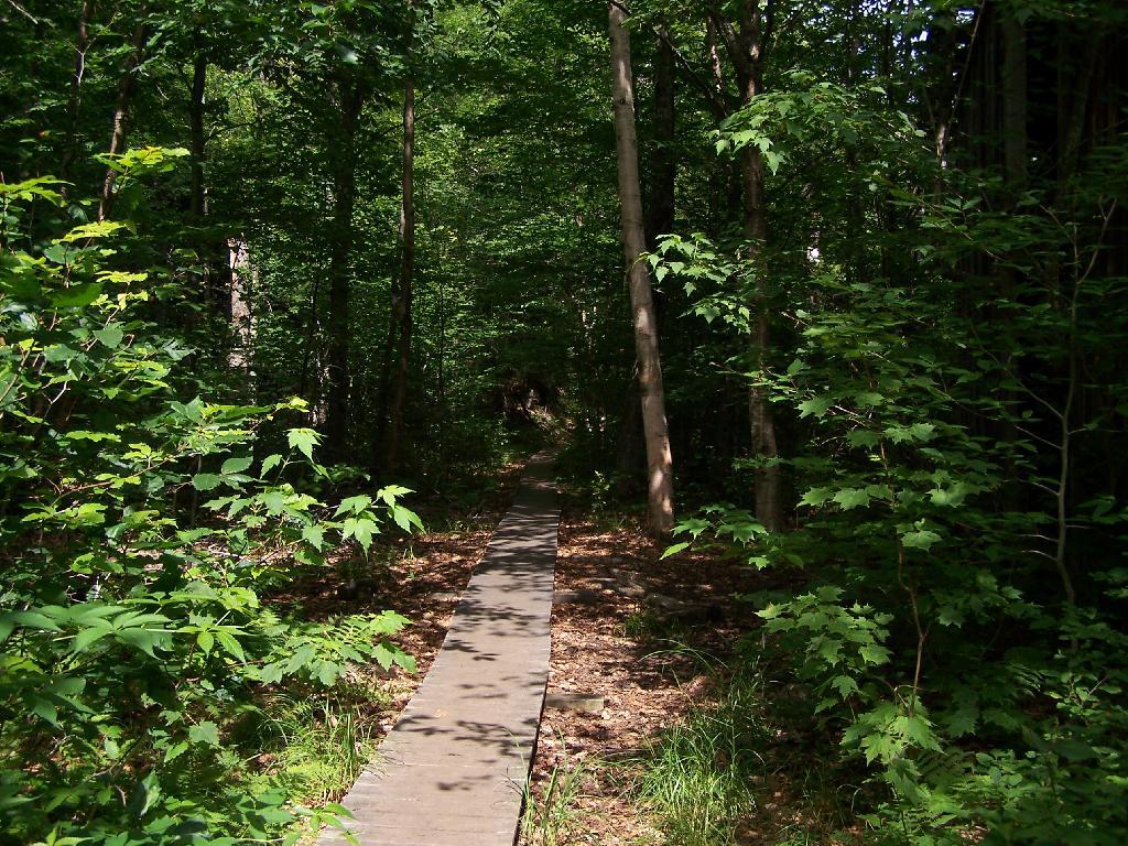 Boardwalk