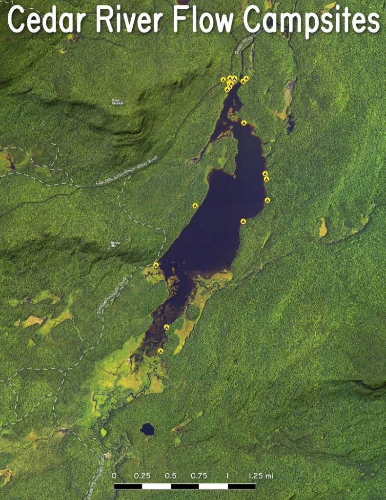 Untitled [Expires August 12 2025]