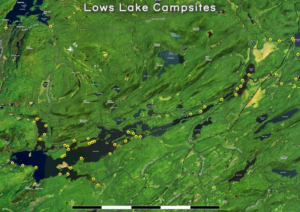 Untitled [Expires August 12 2025]