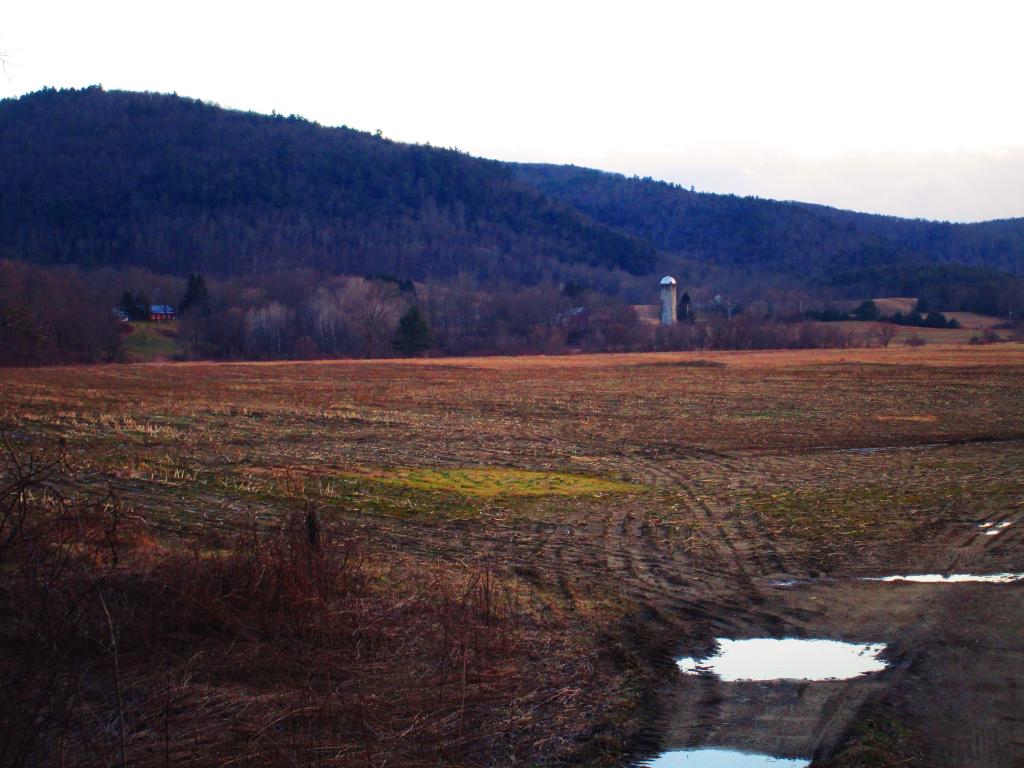 Field Along the Batten Kill