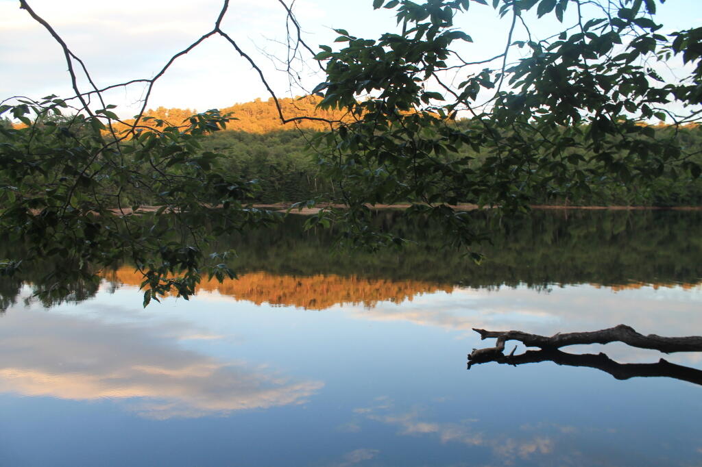 Evening Reflect