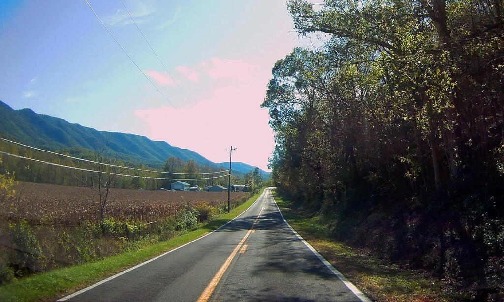  Corn In The Sweedlin Valley