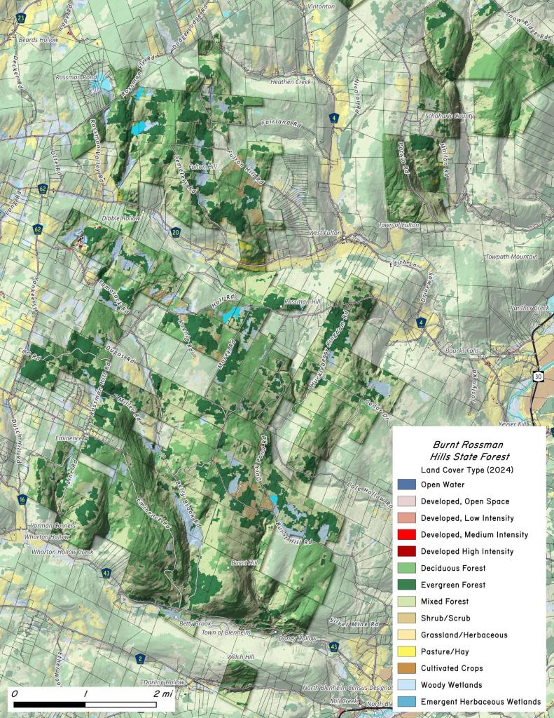 Burnt Rossman Hills - Land Cover