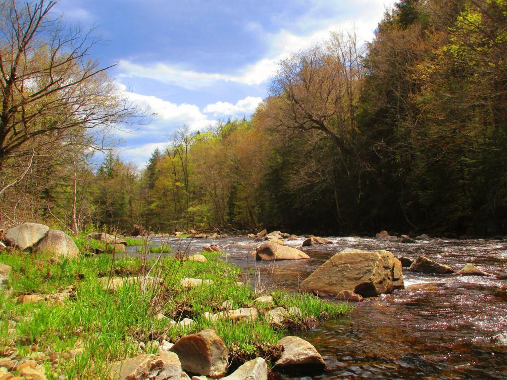 Sacandaga River below Austin Falls