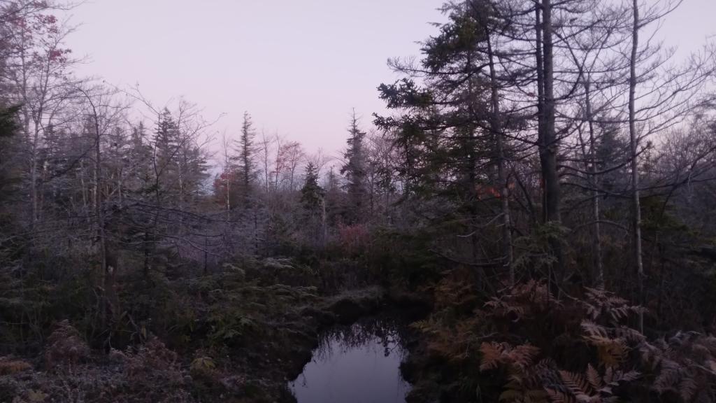 Photo: Hard Frost