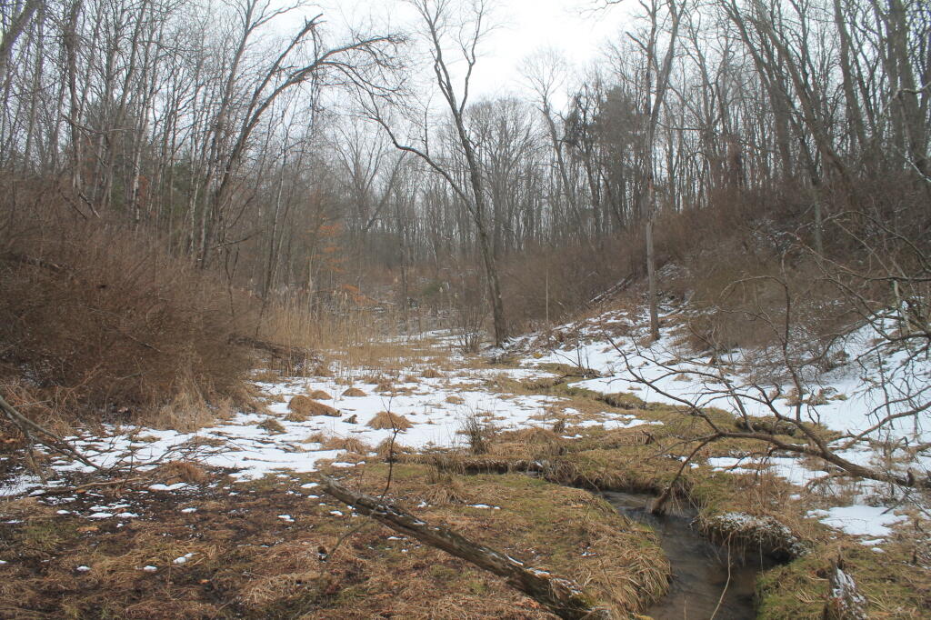 Photo: Down in the Kiakout Kill
