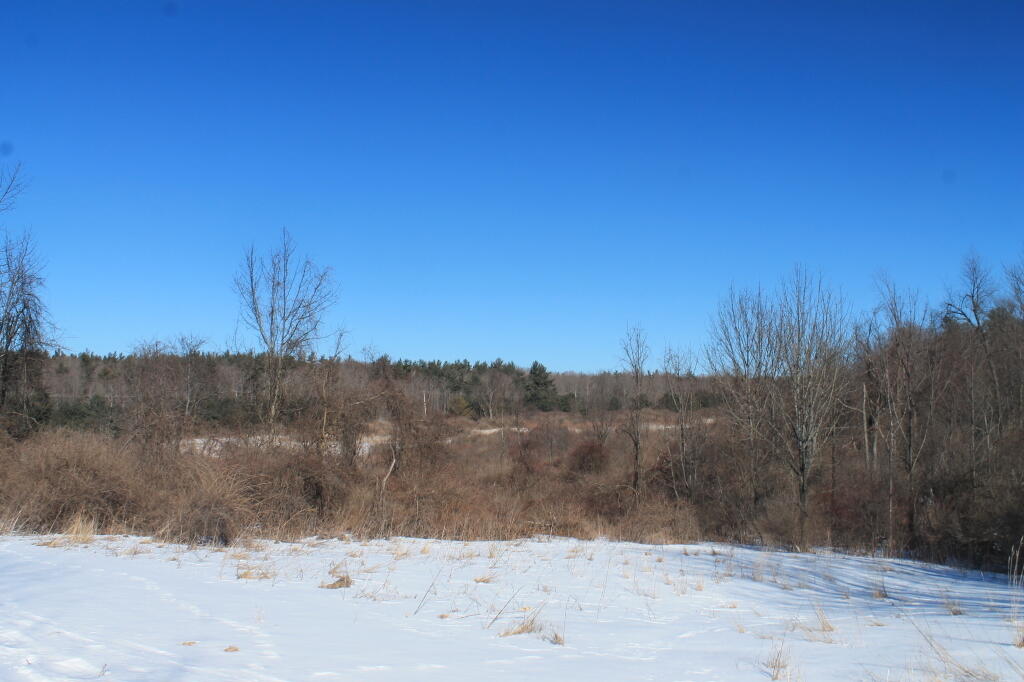 Photo: Scrublands