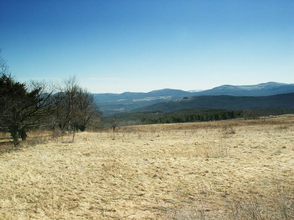 Photo: Spring Field