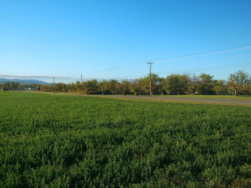 Photo: Apples and Alfalfa on a Beautiful Fall Day in Peru