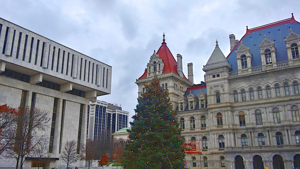 Photo: State Tree 2021