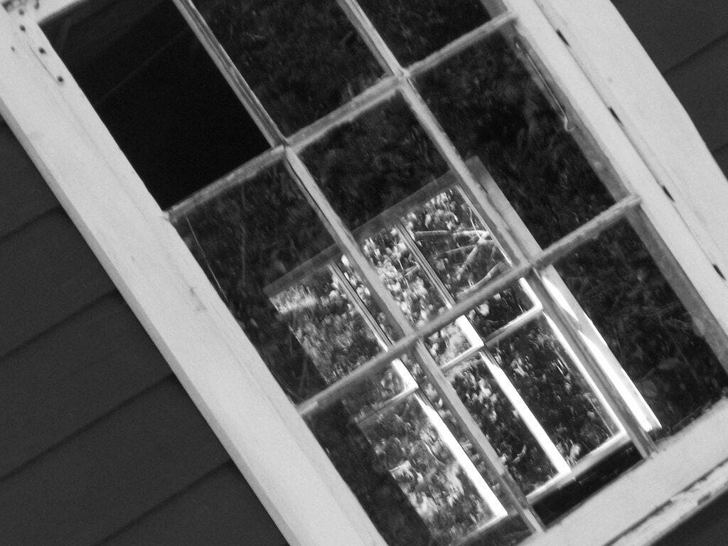Photo: Window