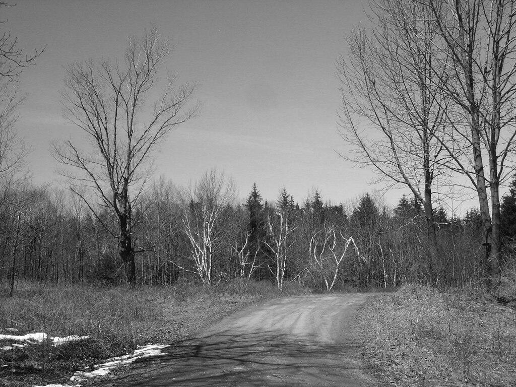 Photo: Black and White Road
