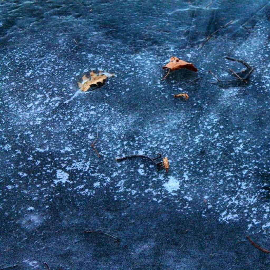 Photo: Frozen