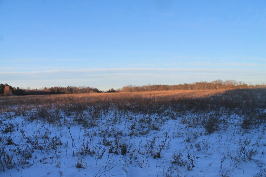 Photo: Photo.2013.01.05 18.01.32