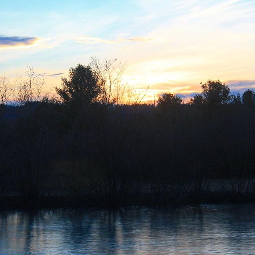 Photo: Research Ponds