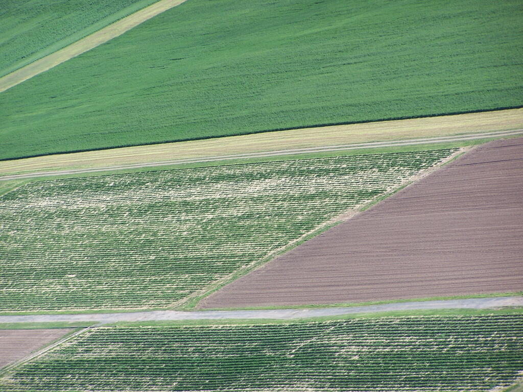 Photo: Fields Photo: Fields