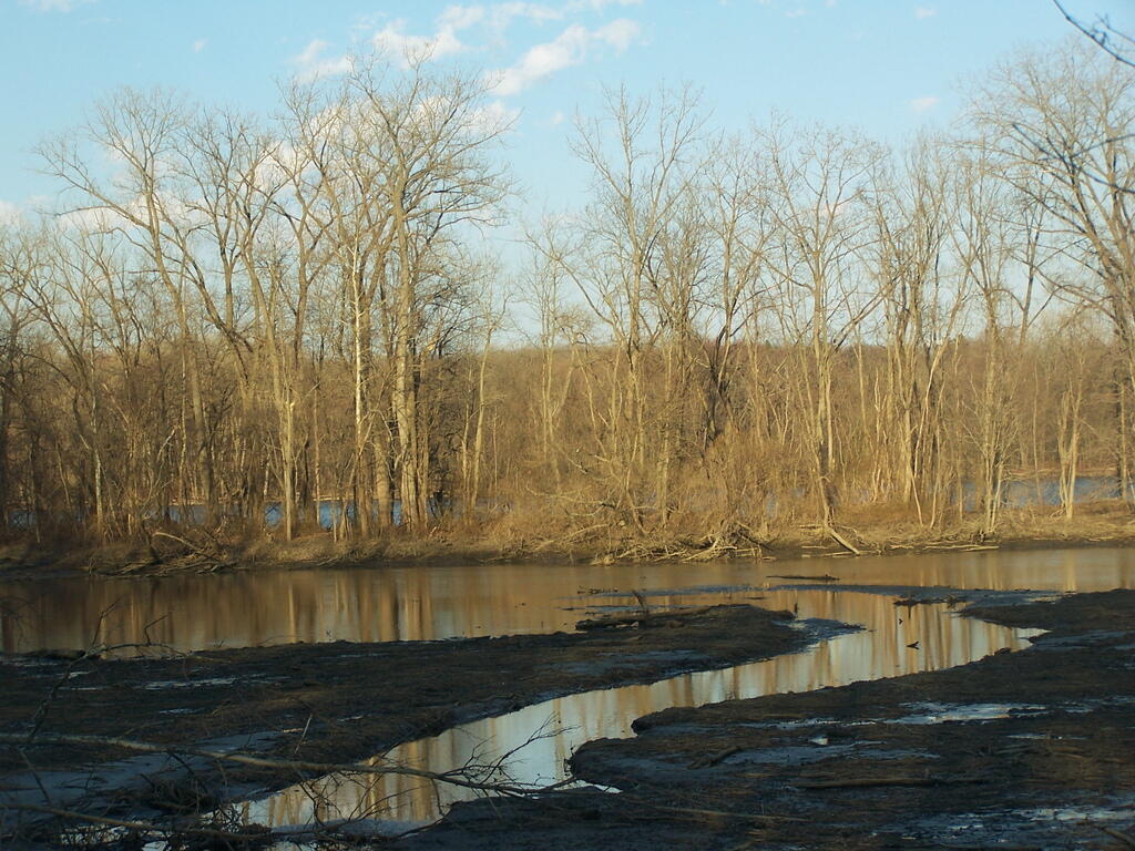 Photo: Estuary