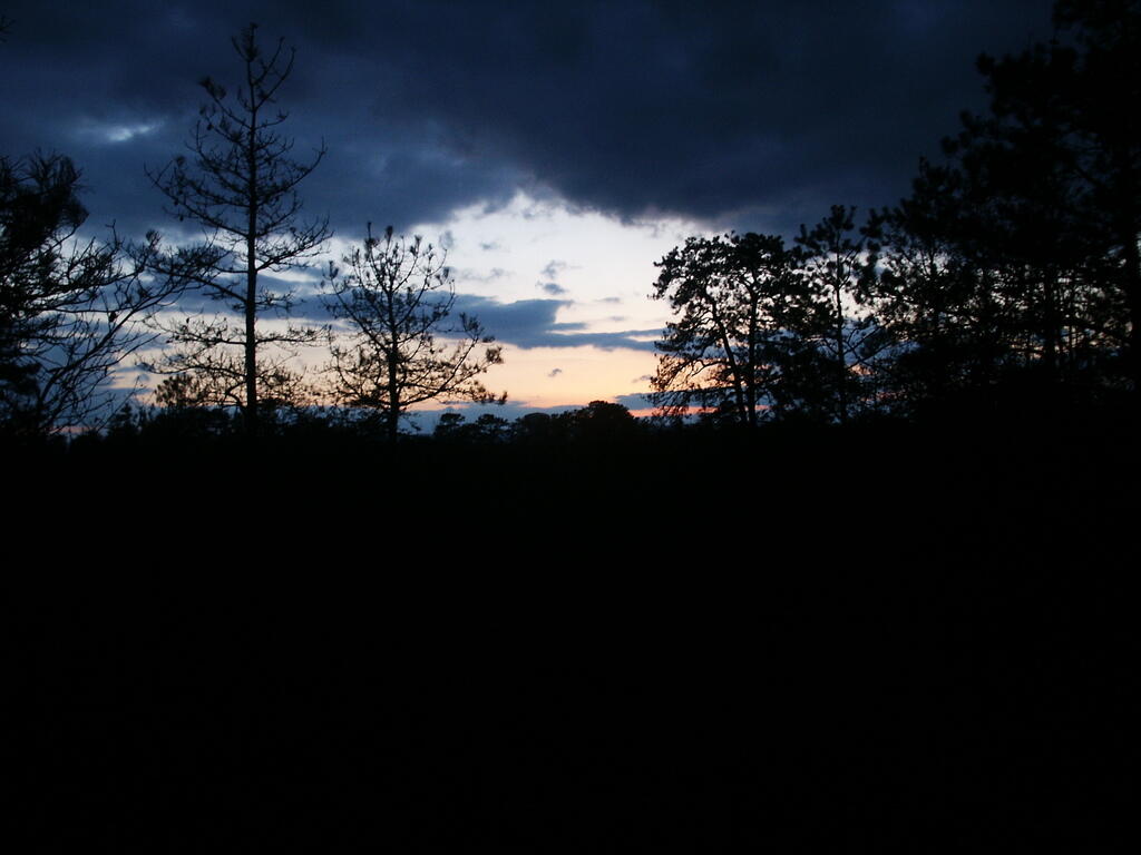 Photo: Sunset