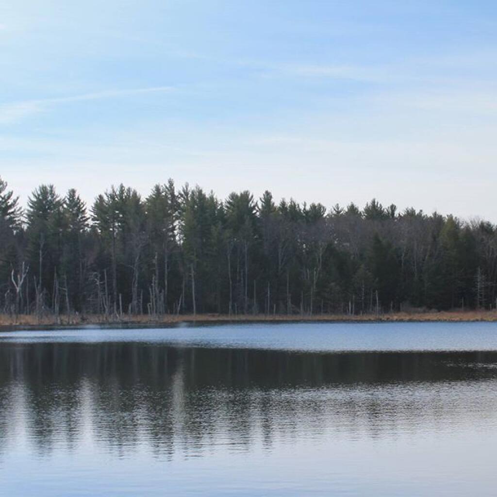 Photo: Looking Glass Pond has been refilled