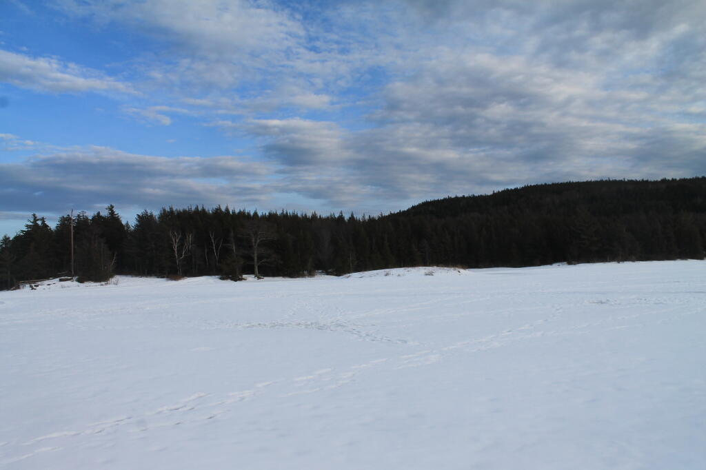 Photo: Afternoon