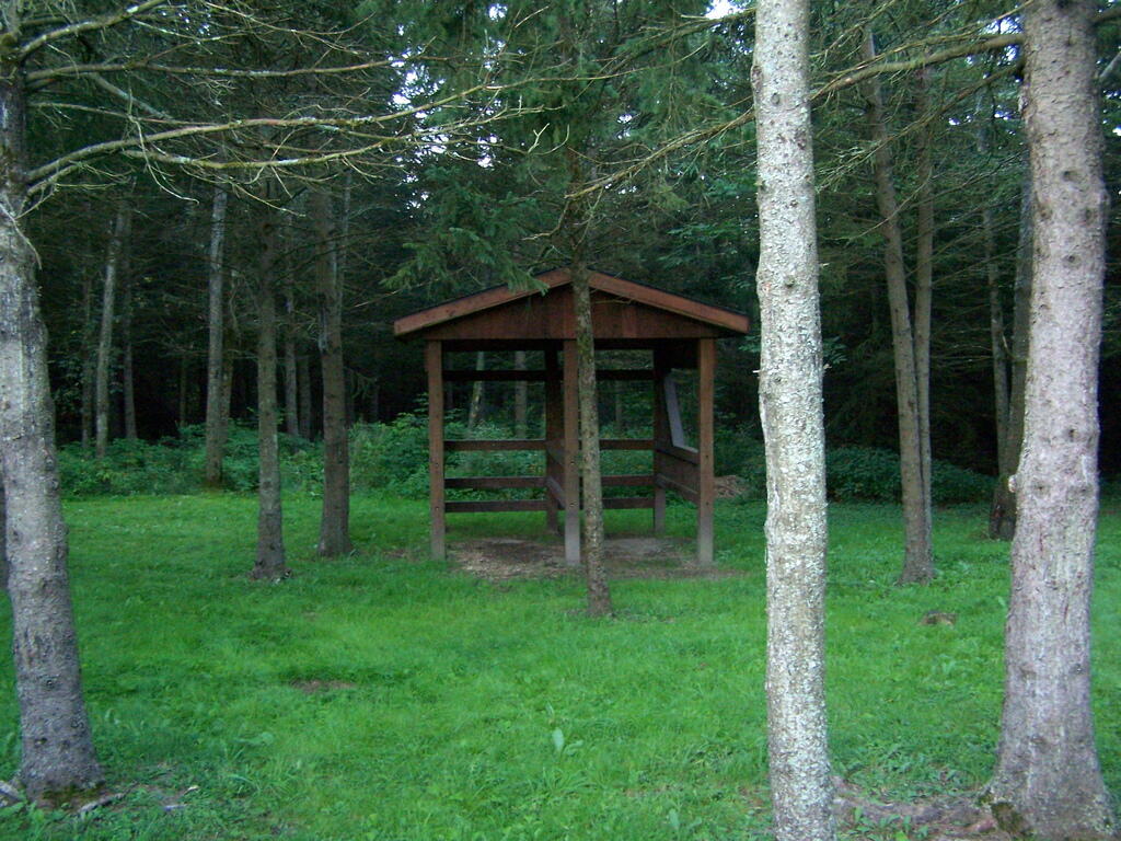 Photo: Horse Stalls Photo: Horse Stalls