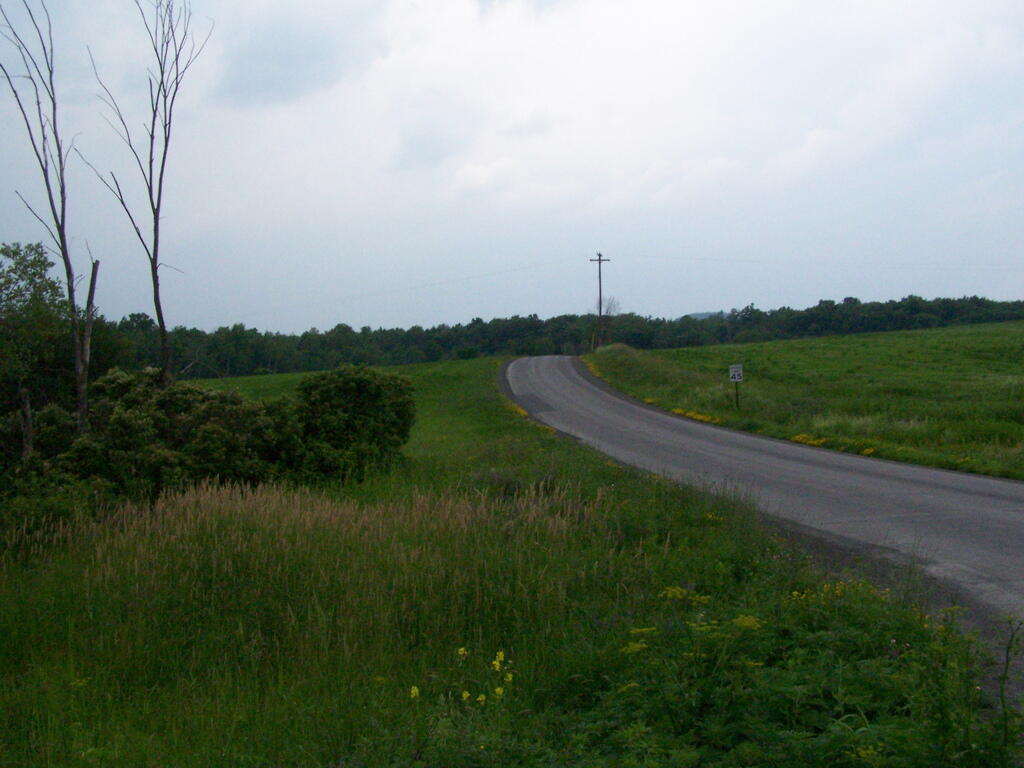 Photo: Up the Road