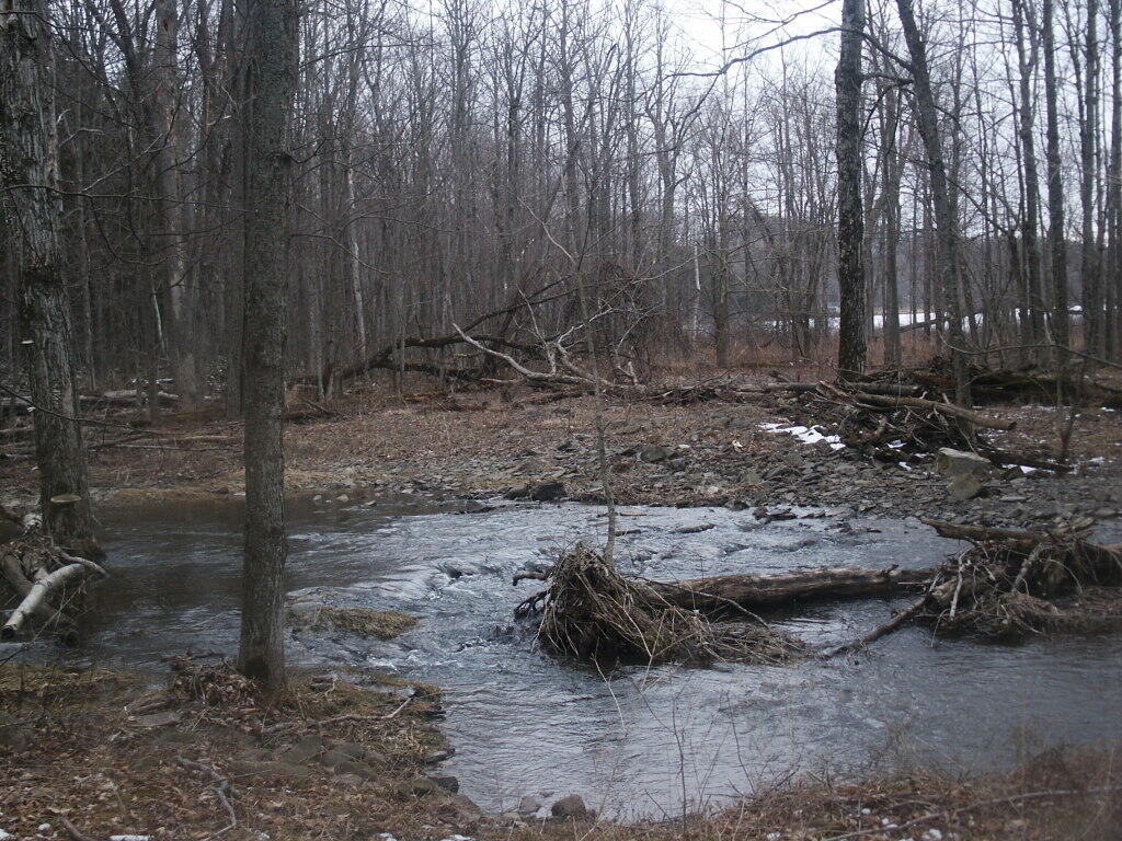 Photo: Flood