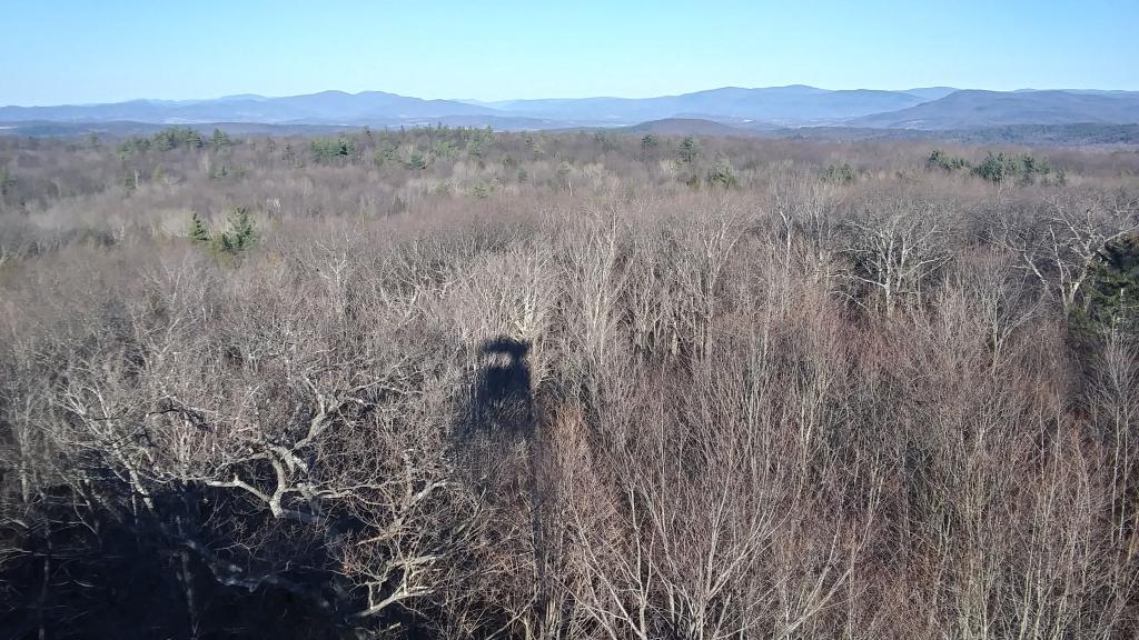 Photo: Towards Bennington