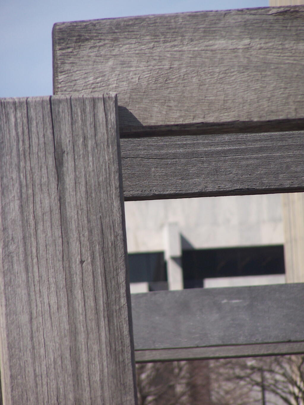 Photo: Frame 116