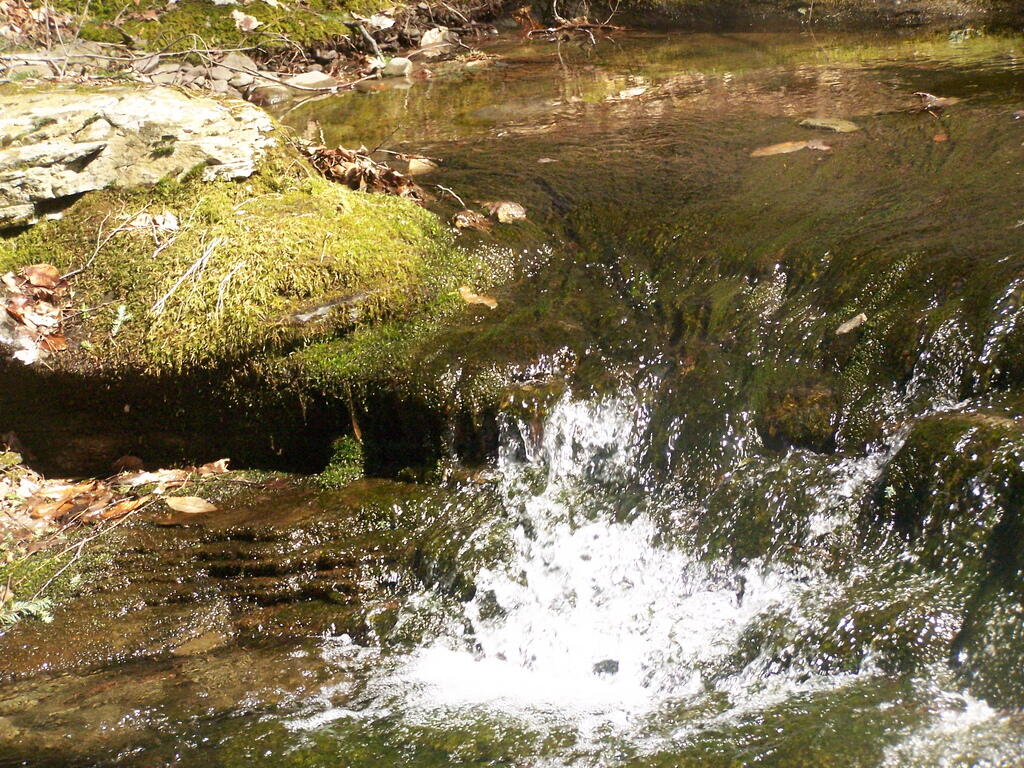 Photo: Stream Water Photo: Stream Water
