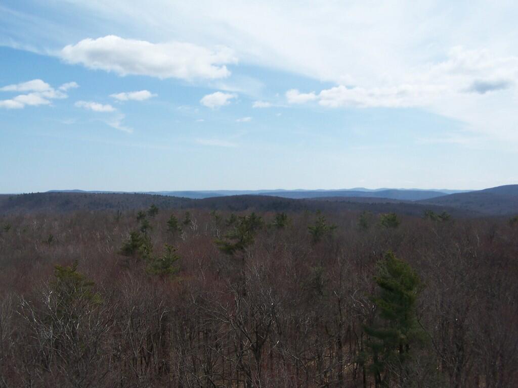Photo: South from Tower Photo: South from Tower