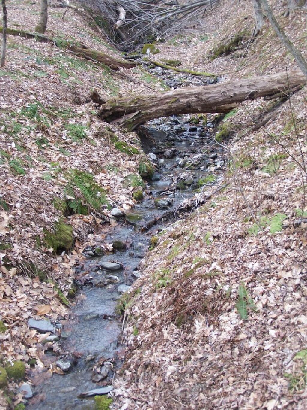 Photo: Snow Melt Photo: Snow Melt