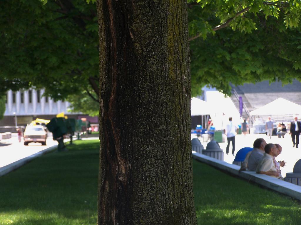 Photo: Trunk