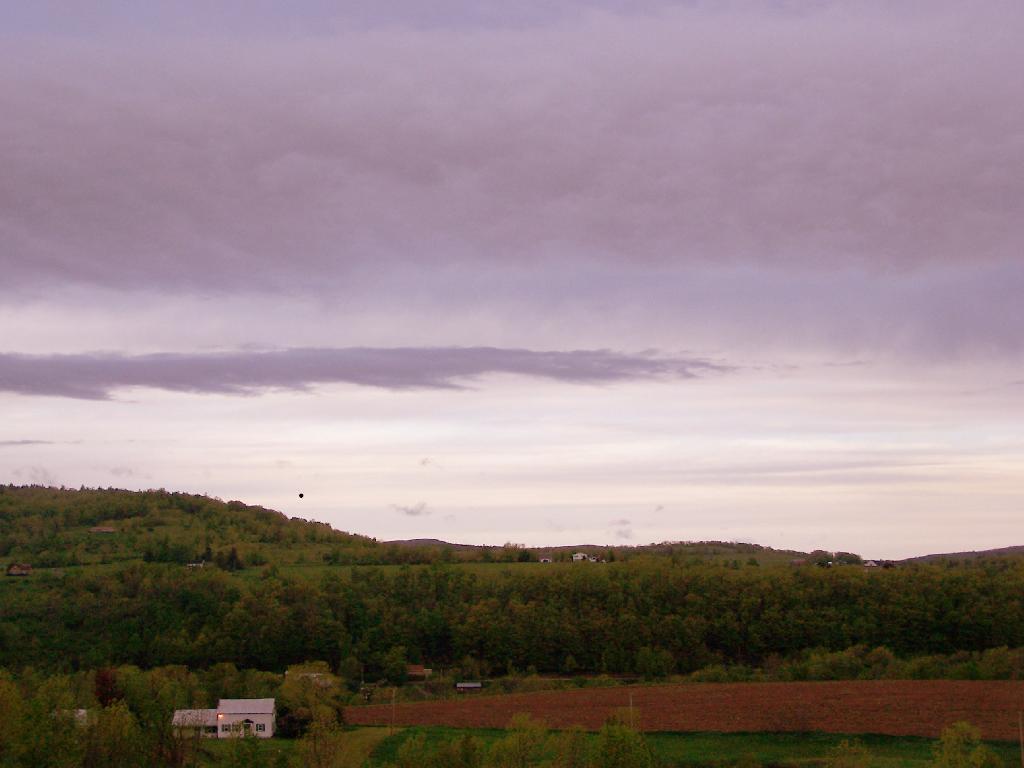 Photo: Morning