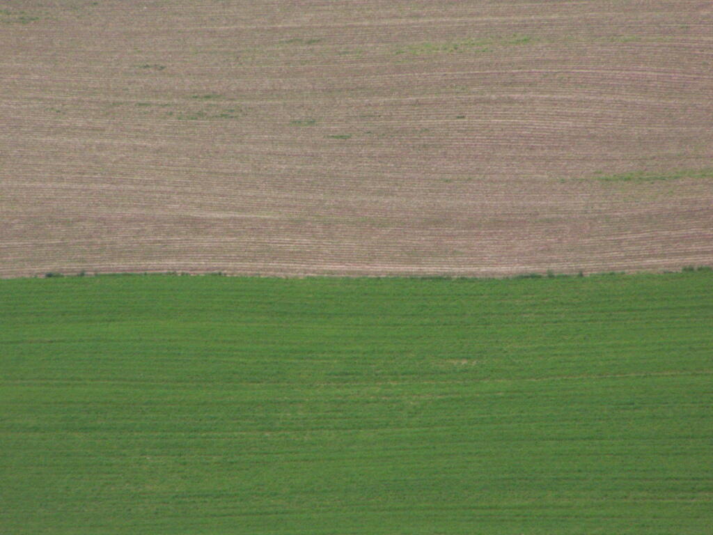 Photo: Green and Brown Photo: Green and Brown