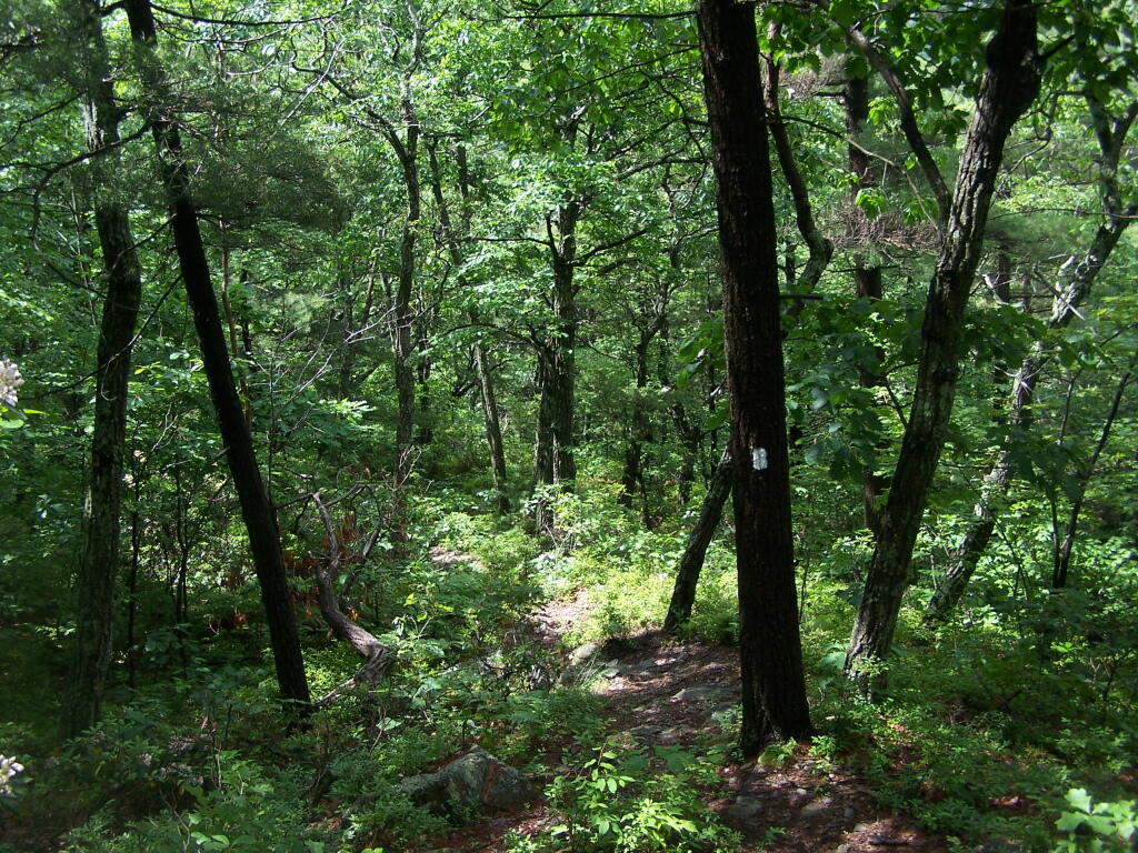 Photo: Descending