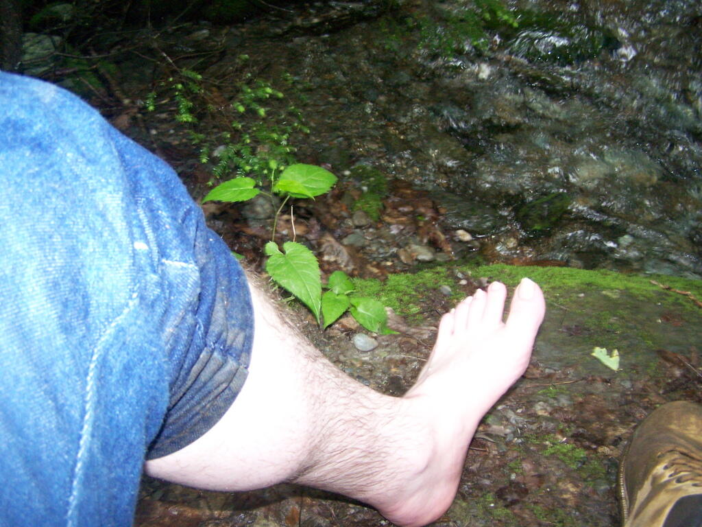 Photo: Wading