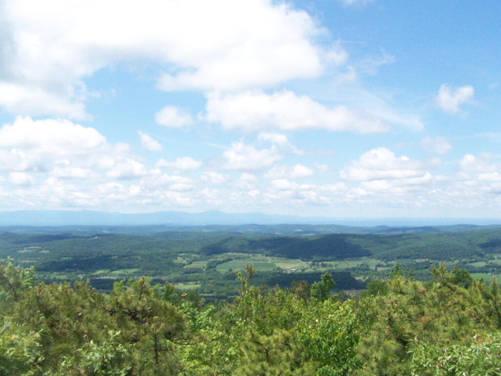 Photo: Wide View Photo: Wide View