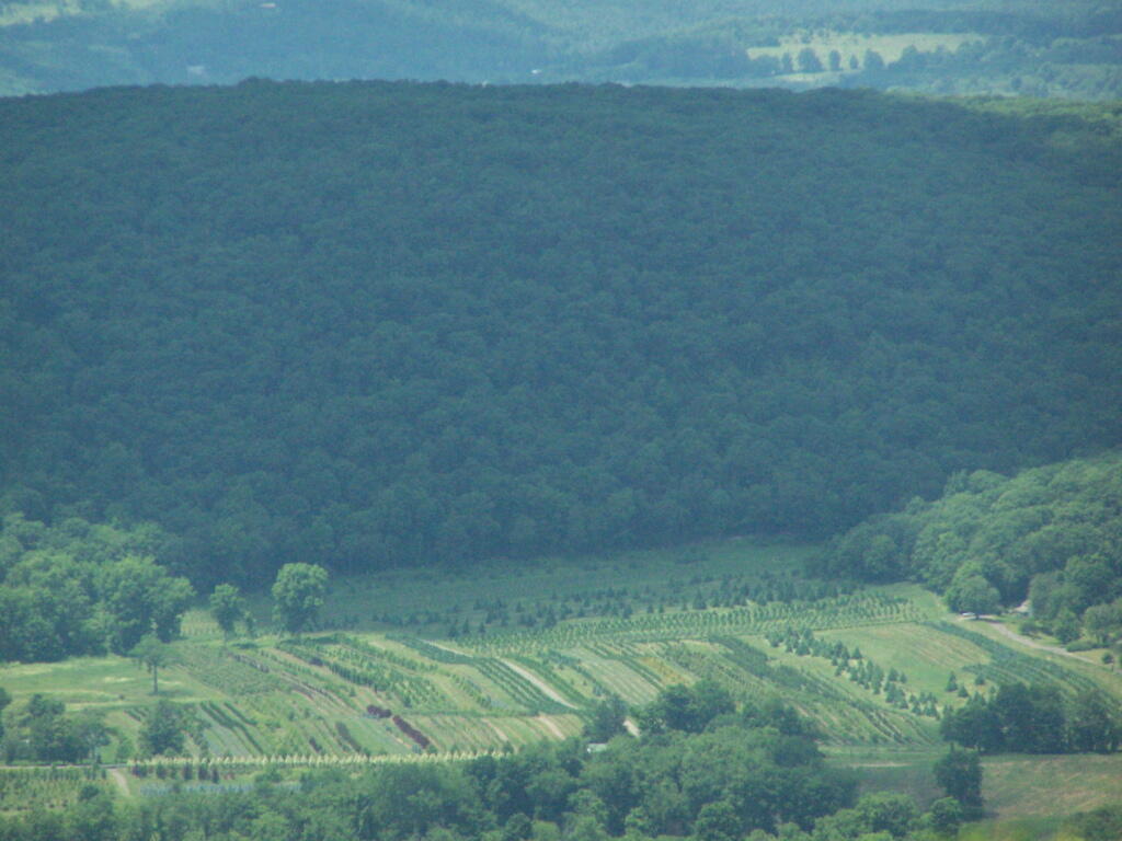 Photo: Ridge
