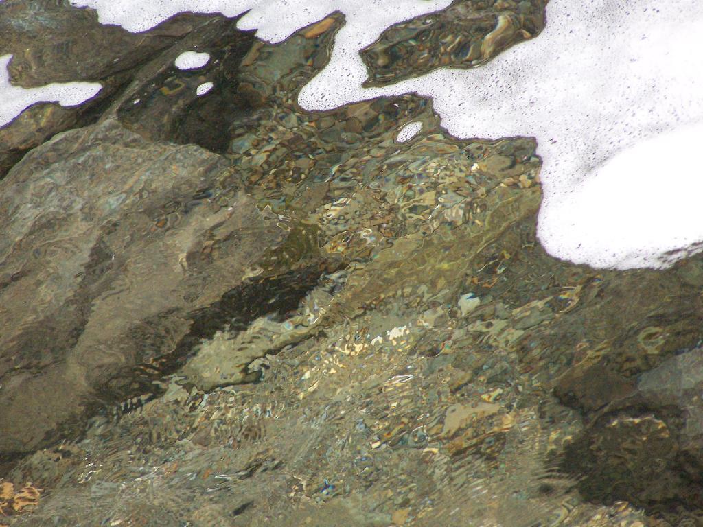 Photo: Suds