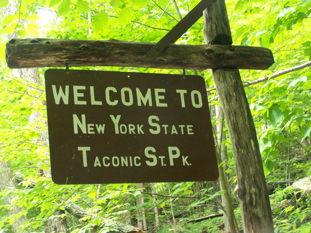 Photo: Back to NYS
