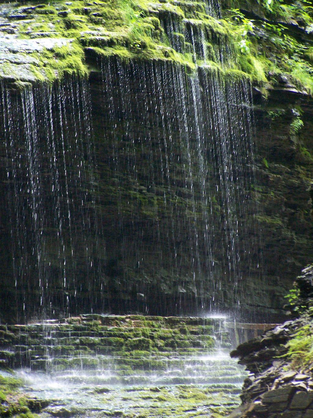 Photo: Drip Drop