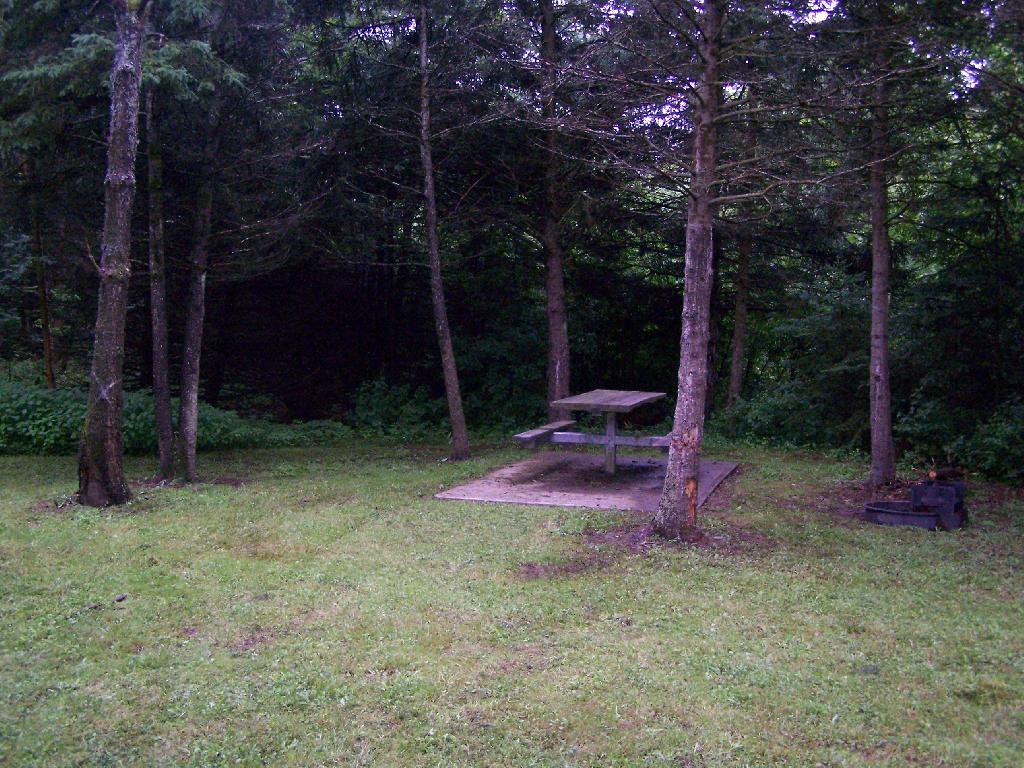 Photo: Site Photo: Site