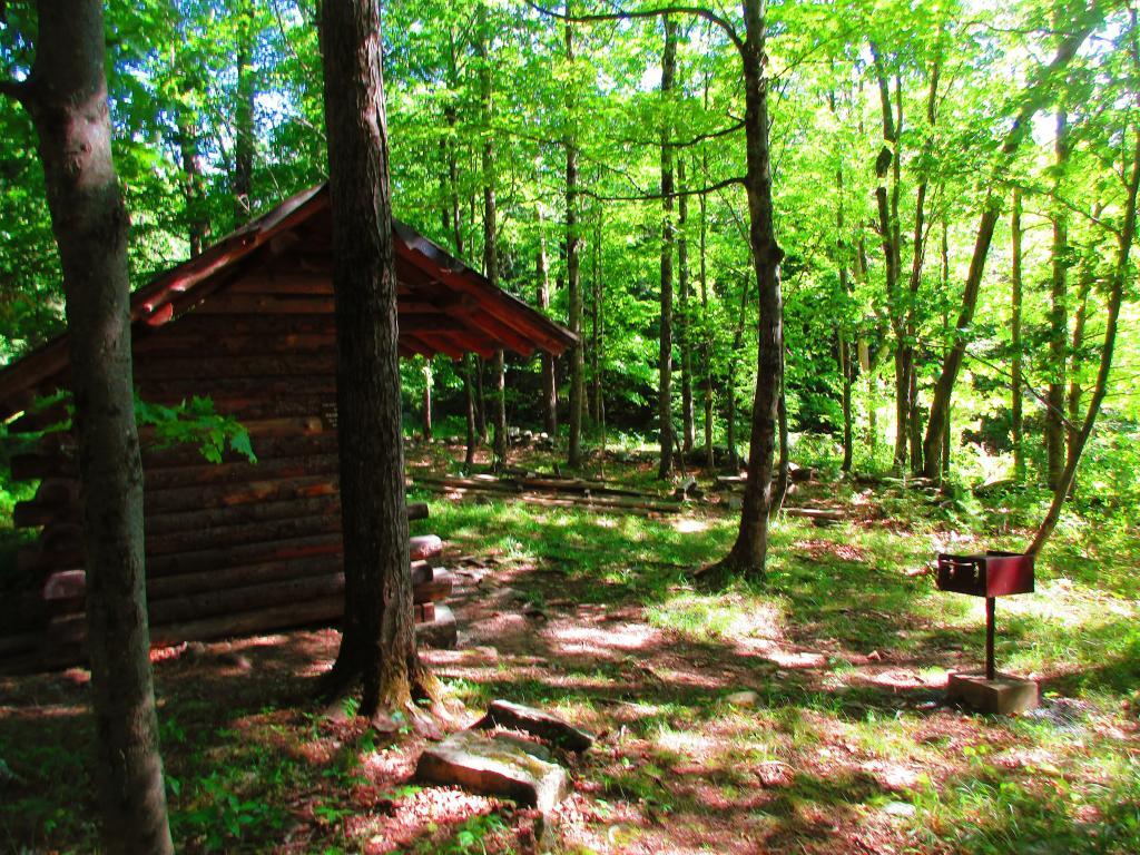Photo: Quiet Place at the Lean-To