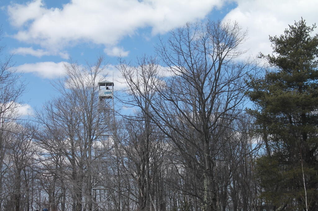Photo: Firetower in the Background Photo: Firetower in the Background