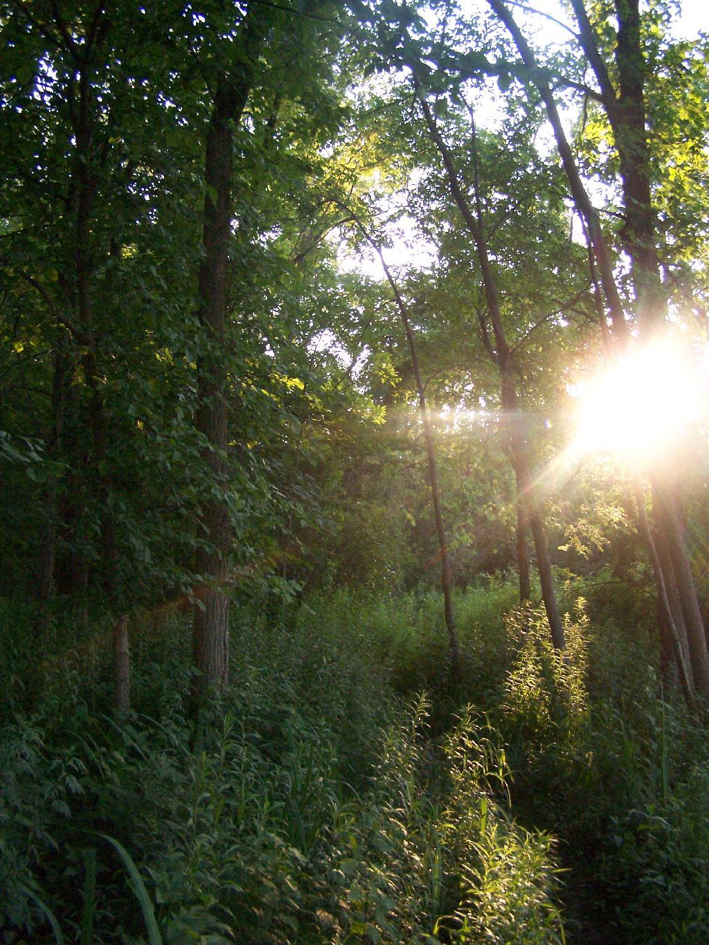 Photo: Setting Sun