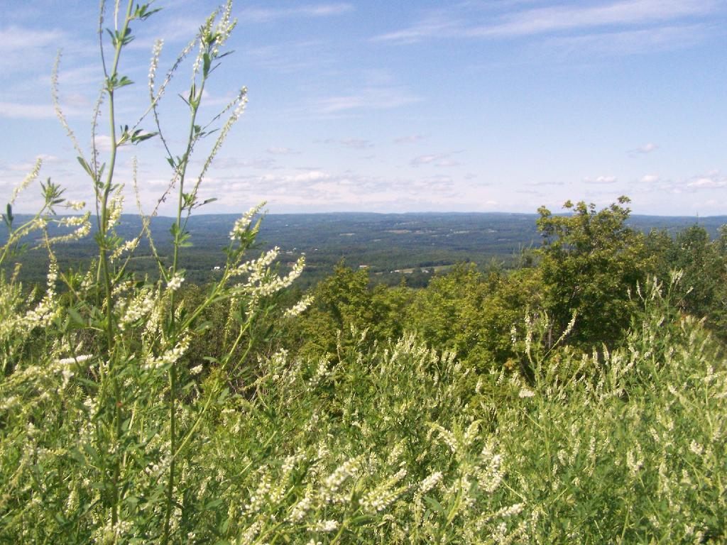 Photo: Landscape Photo: Landscape